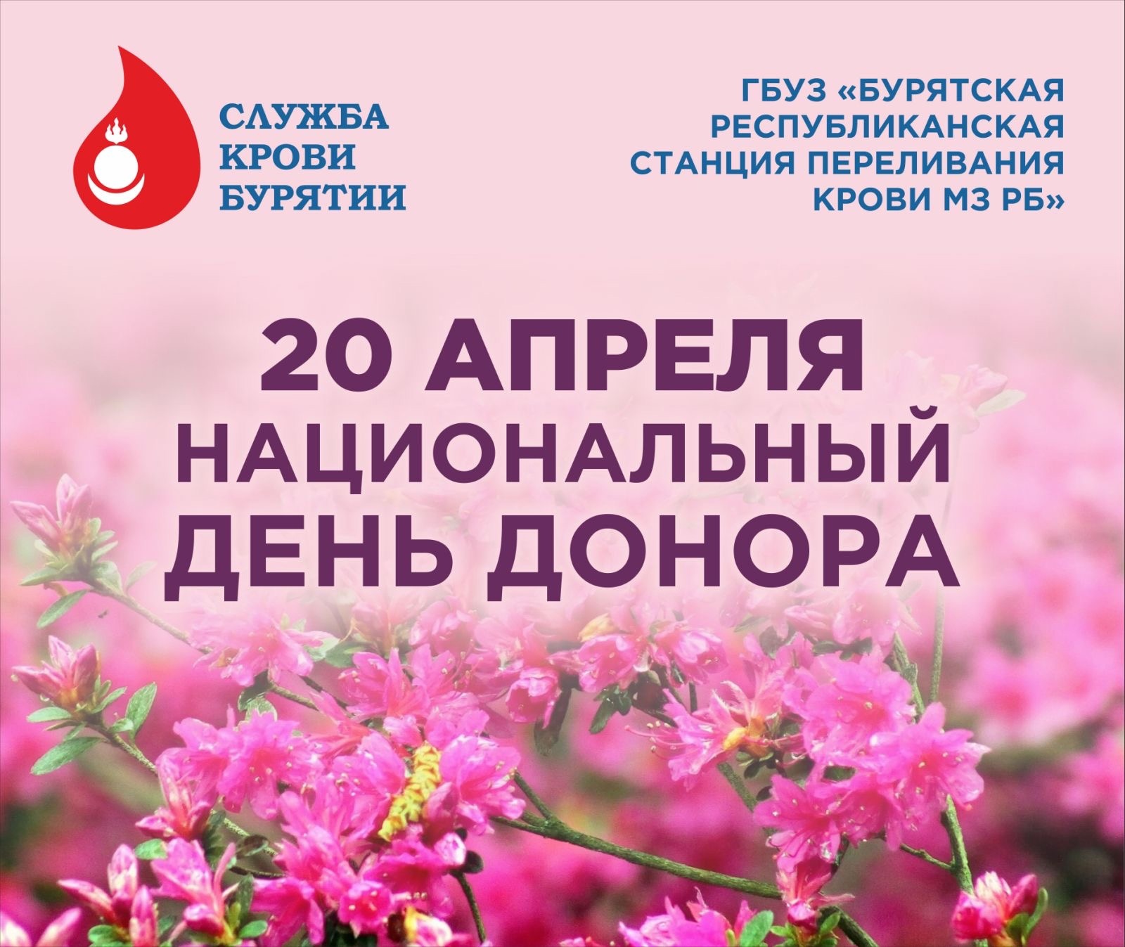 Неделя популяризации донорства крови с 15.04 по 21.04.2024г.